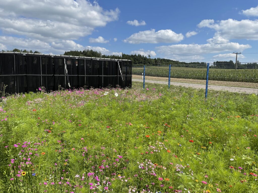 TBE Energiezaun Blumenwiese
